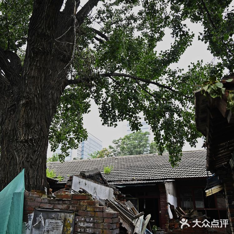 即将消失的故居（康有为故居）