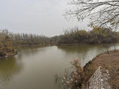 -塘沽森林公园