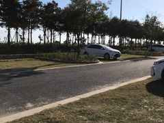 -春花秋色城市公园