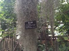 -南通洲际绿博园