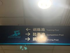 -奥林匹克体育中心游泳馆