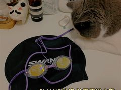 -奥林匹克体育中心游泳跳水中心