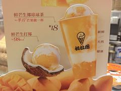 -极拉图·现制冰淇淋(大卫城店)