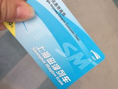 -龙阳路磁悬浮列车总站-停车场