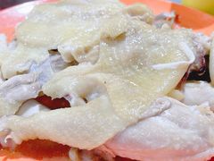 -石岐乳鸽村(南海第三分店)