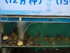 -仙螺岛海鲜自助餐厅(总店)