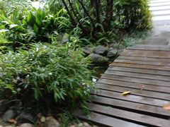 -成都市活水公园