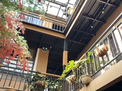 -崂山水果园农家宴(泉水鸡店)