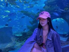 -多彩贵州城极地海洋世界