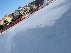 -亚布力新体委滑雪场