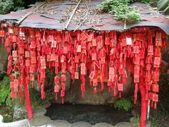 -郧西五龙河风景区