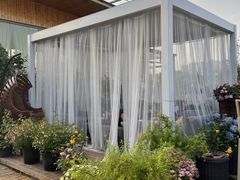 -大隐花事(熊婆婆的花园店)