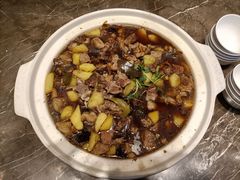 -齐河孔雀王温泉酒店·金孔雀自助百汇