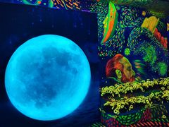-成都梵高星空艺术馆(春熙路旗舰店)