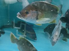 -乐兴海鲜餐厅