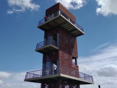 -春花秋色城市公园