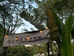 -芭厘农庄老字号·清远鸡