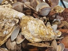 -山东八大碗山东老字号