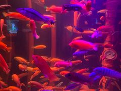 -沈阳海洋探索中心