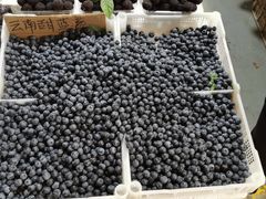 -七宝蔬菜农副产品综合交易市场-停车场