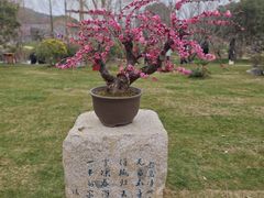-无锡梅园公园