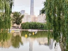 -团结湖公园