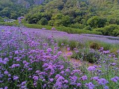 -雁荡山风景名胜区