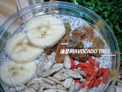 -油梨树 AVOCADO TREE(亮马桥店)