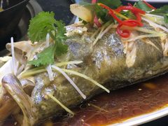 清蒸鲈鱼-双城乡铁锅炖羊肉(莱安逸境店)