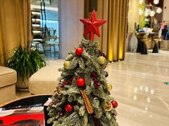 -杭州君悦酒店-健身房