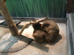 -未来动物城动物主题公园(大悦城店)