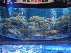 -福禧荟·海鲜自助