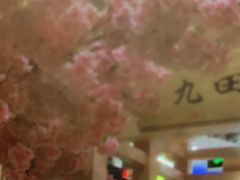 -九田家黑牛烤肉料理(衡百国际店)