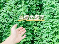-黄兴公园