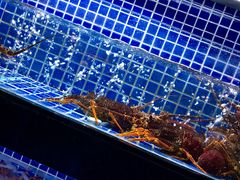 水产区-徐记海鲜(大明宫|北二环店)