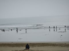 -日照海滨国家森林公园