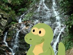 -江西阳明山国家森林公园