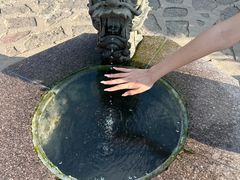 -帽儿山风景区
