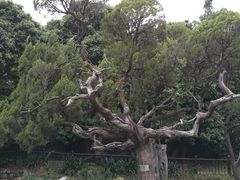 -草庵摩尼教遗址公园