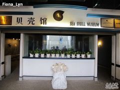 -亚龙湾中心广场·贝壳馆