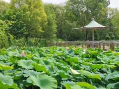 -灞河西岸滨河公园