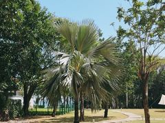 -三亚海棠湾万丽度假酒店