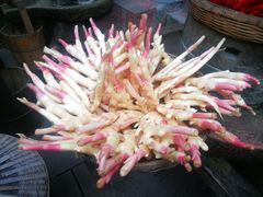 -王家渡火锅(三苏祠店)