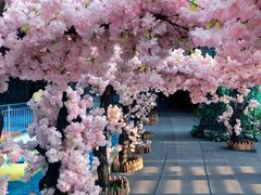 -天山海世界·米立方