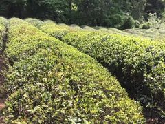 -敬亭山风景名胜区