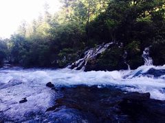 -九寨沟-树正沟