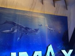 -英皇电影城(平安金融中心IMAX激光店)