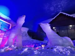 -世界之窗阿尔卑斯冰雪世界
