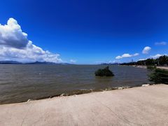 -深圳湾公园(南山区)