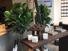 -喜茶(东莞汇一城店)
